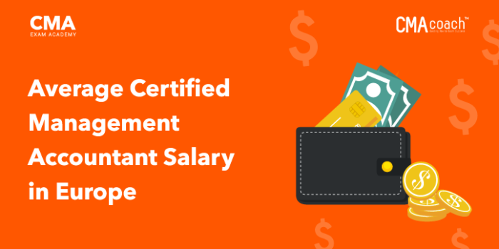 certified-management-accountant-salary-a-guide-for-2021